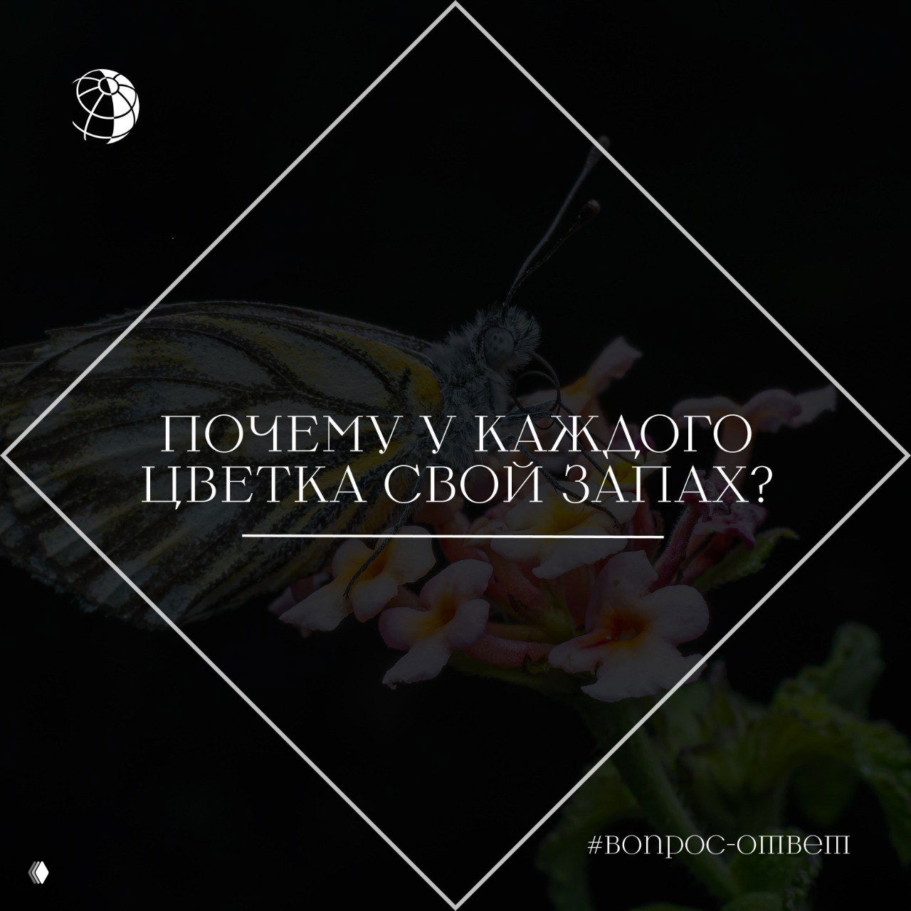Почему у каждого цветка свой запах?