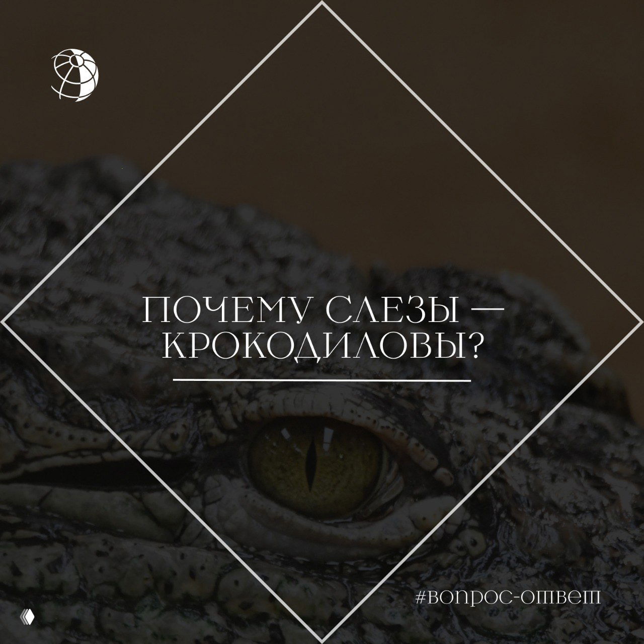 Почему слезы — крокодиловы?