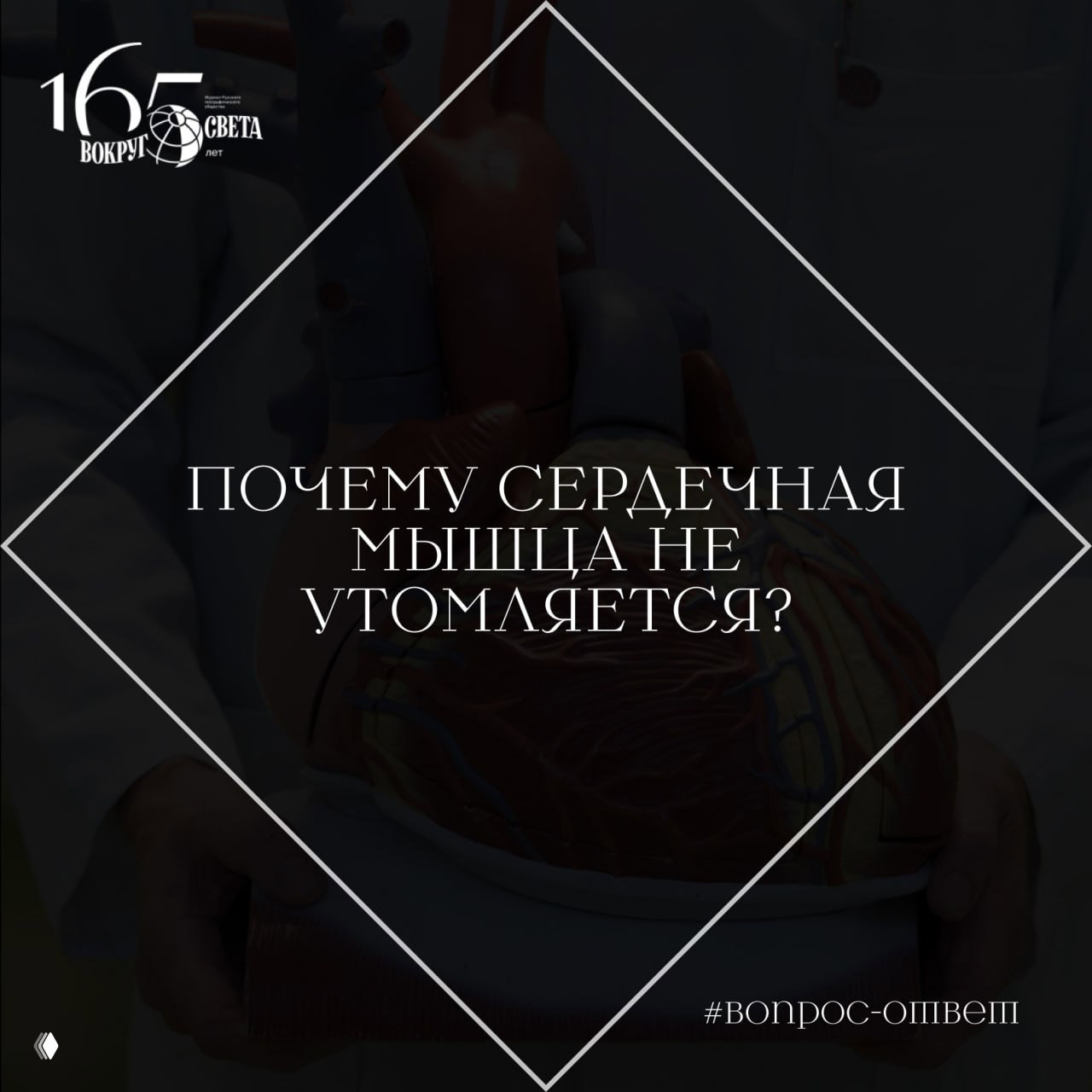 Почему сердечная мышца не утомляется?