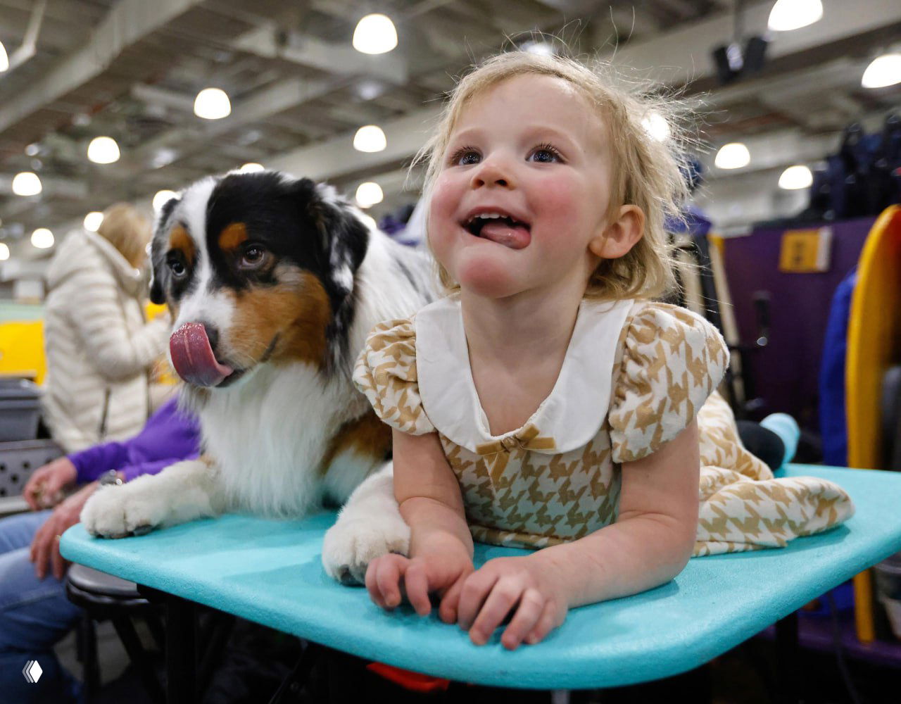 Ребёнок улыбается рядом с крупной собакой (возможно аусси); сцена за кулисами выставки перед выходом на ринг, дружелюбная атмосфера.