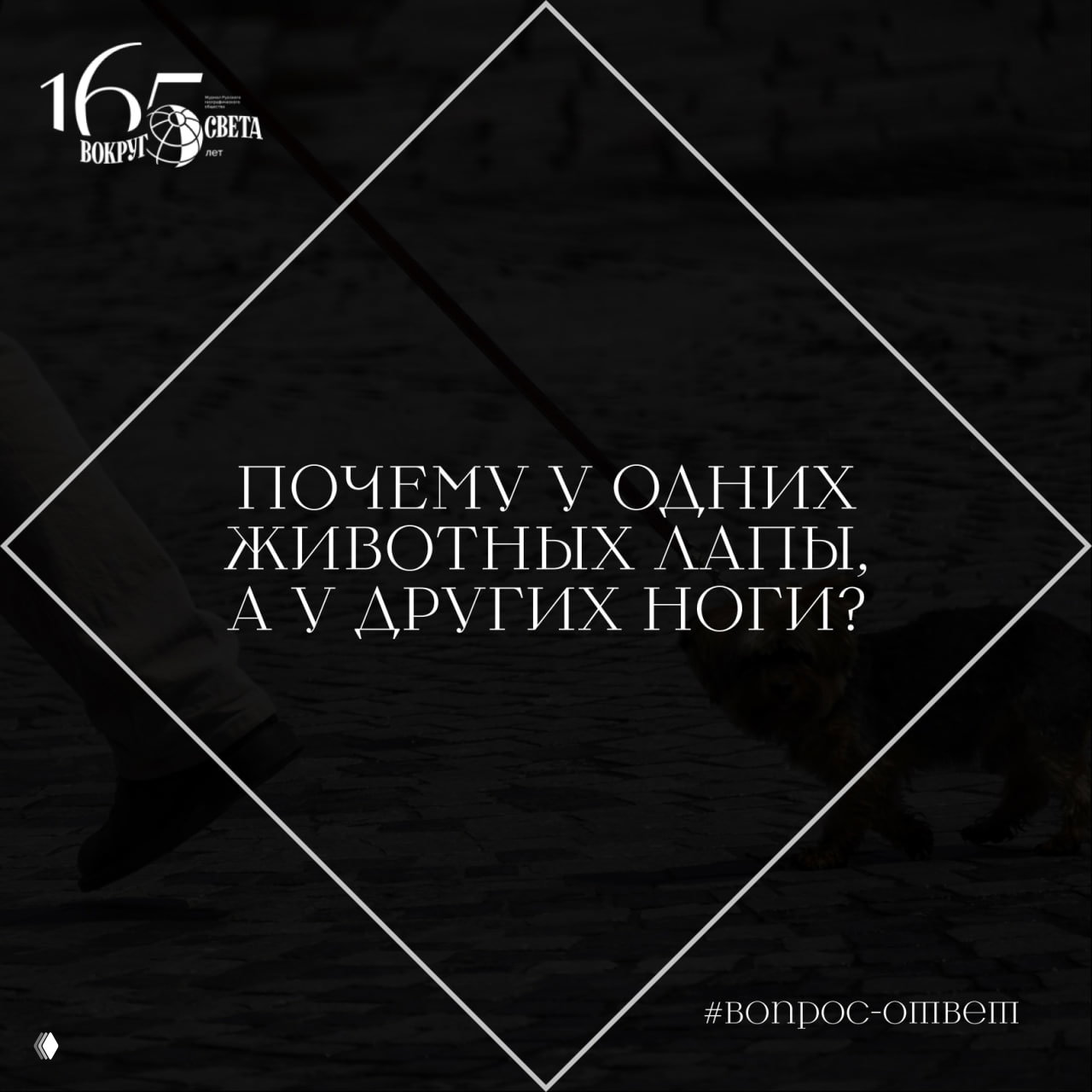 Почему у одних животных лапы, а у других ноги?