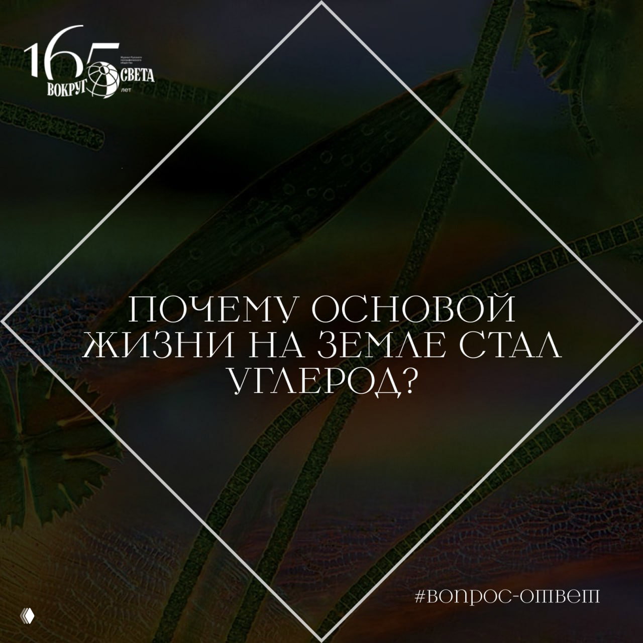 Почему основой жизни на Земле стал углерод?