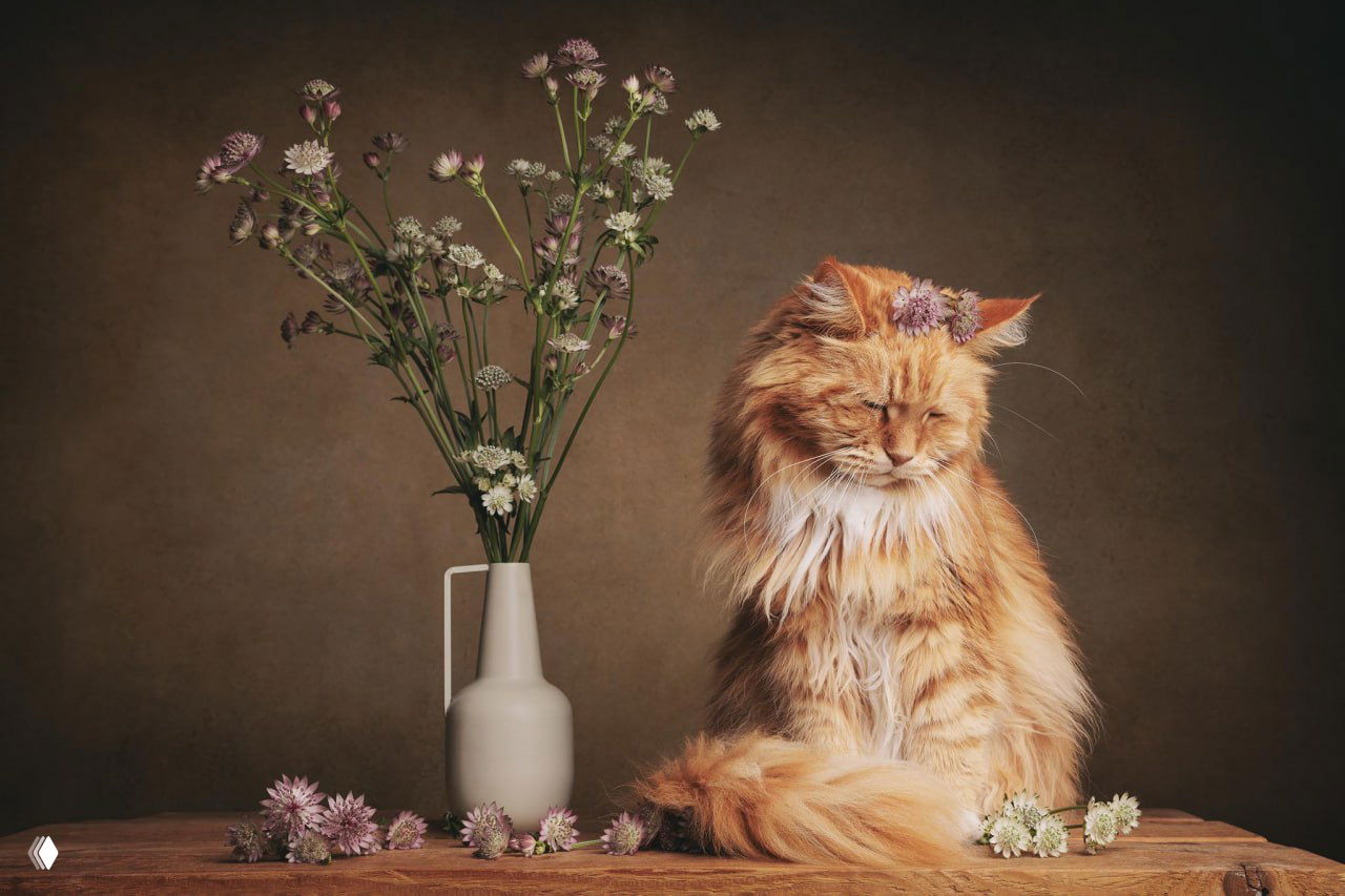Рыжий длинношёрстный кот рядом с вазой и сухоцветами на тёплом фоне — спокойный художественный портрет в классической натюрмортной композиции.