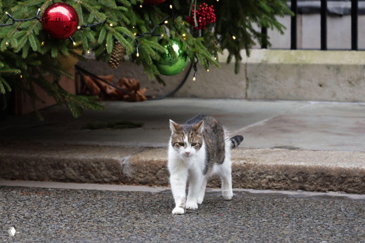 Кот Ларри идёт под ветвями рождественской ели, рядом видны красные и зелёные ёлочные шары у Даунинг‑стрит.