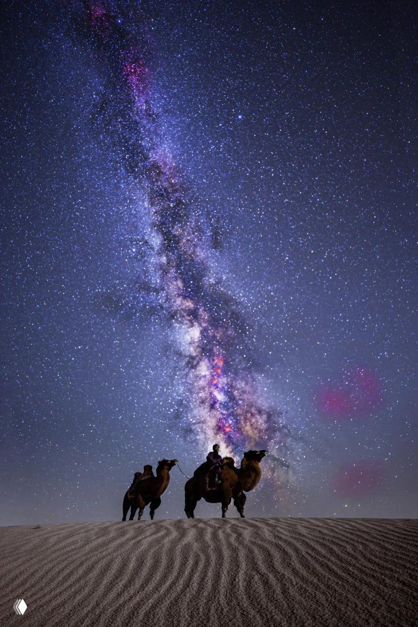 Монголия — финалист European Photography Awards 2026