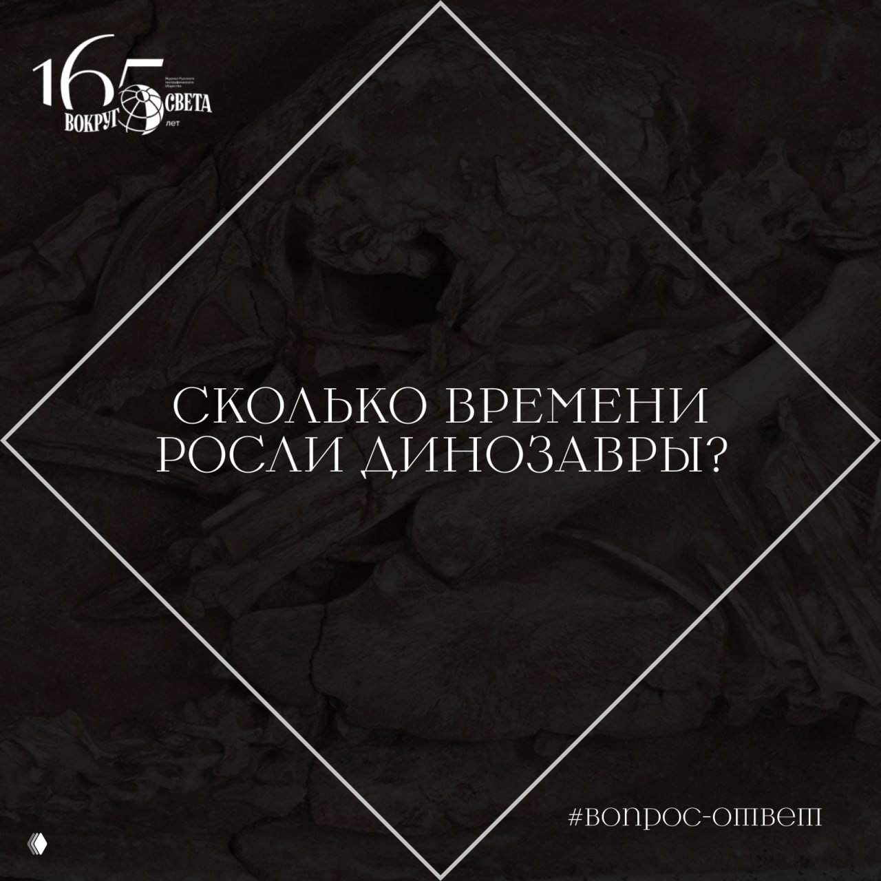 Сколько времени росли динозавры?