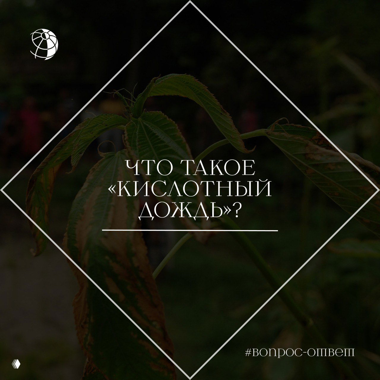 Что такое «кислотный дождь»?