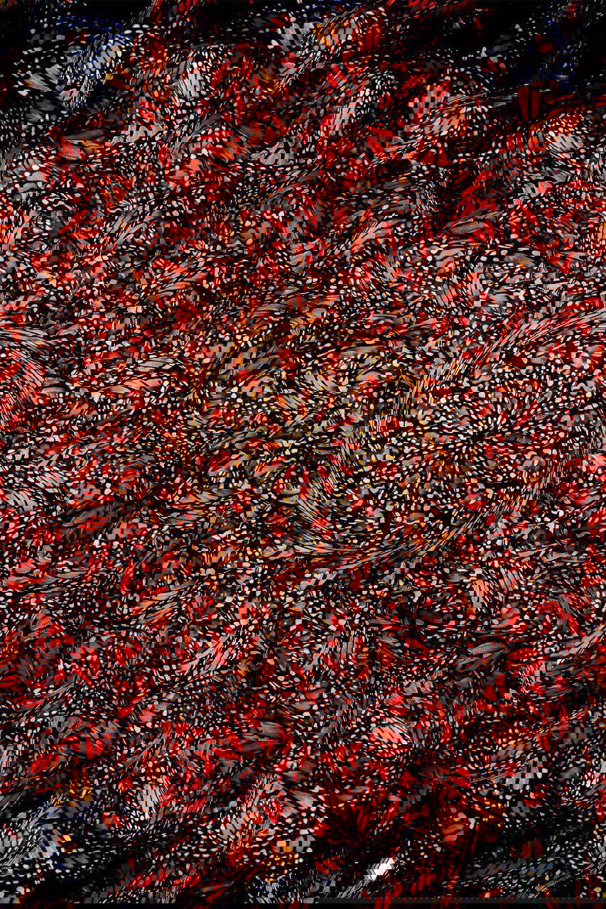 Победитель NANPA Showcase 2026 в «Измененная реальность»