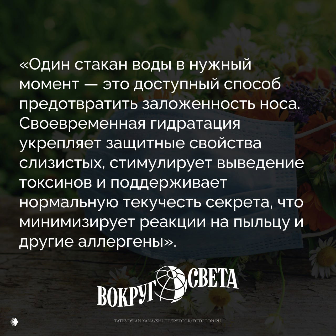 Весна близко: как вода облегчает симптомы сезонной аллергии