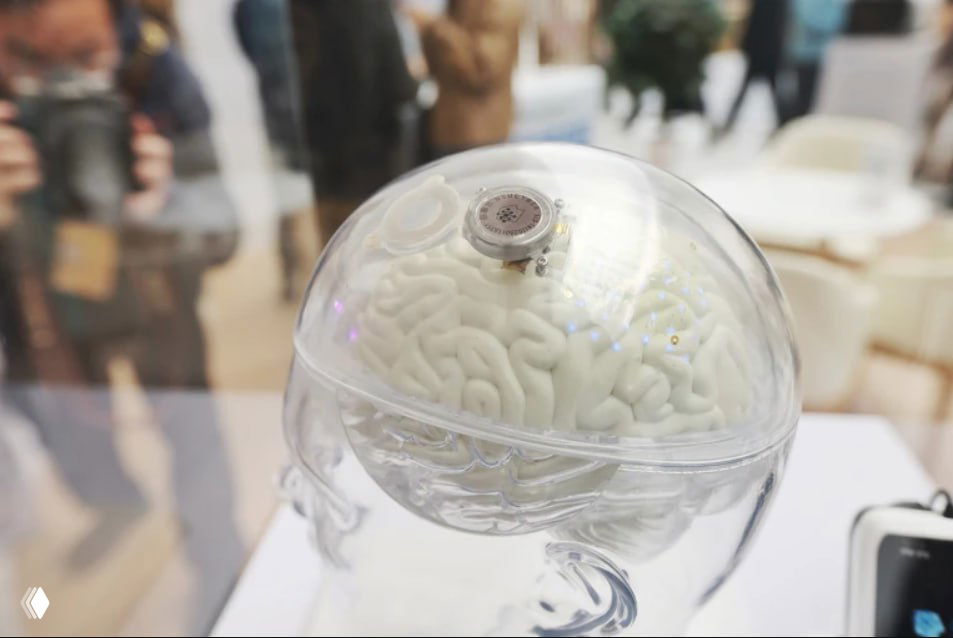 Китай одобрил мозговой чип для лечения паралича