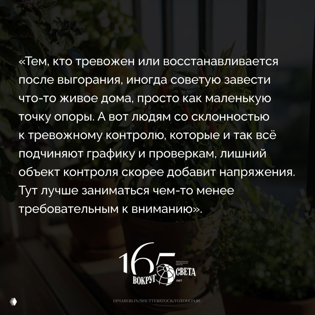 Подоконник с горшками и зелёными растениями на фоне кухни; на изображении наложена цитата о домашнем огороде и тревоге.