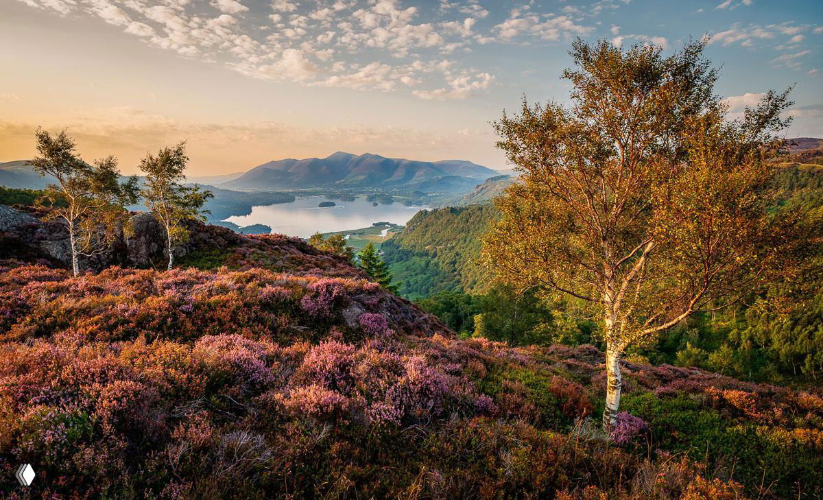Лучшие снимки IGPOTY — конкурс растений и садов