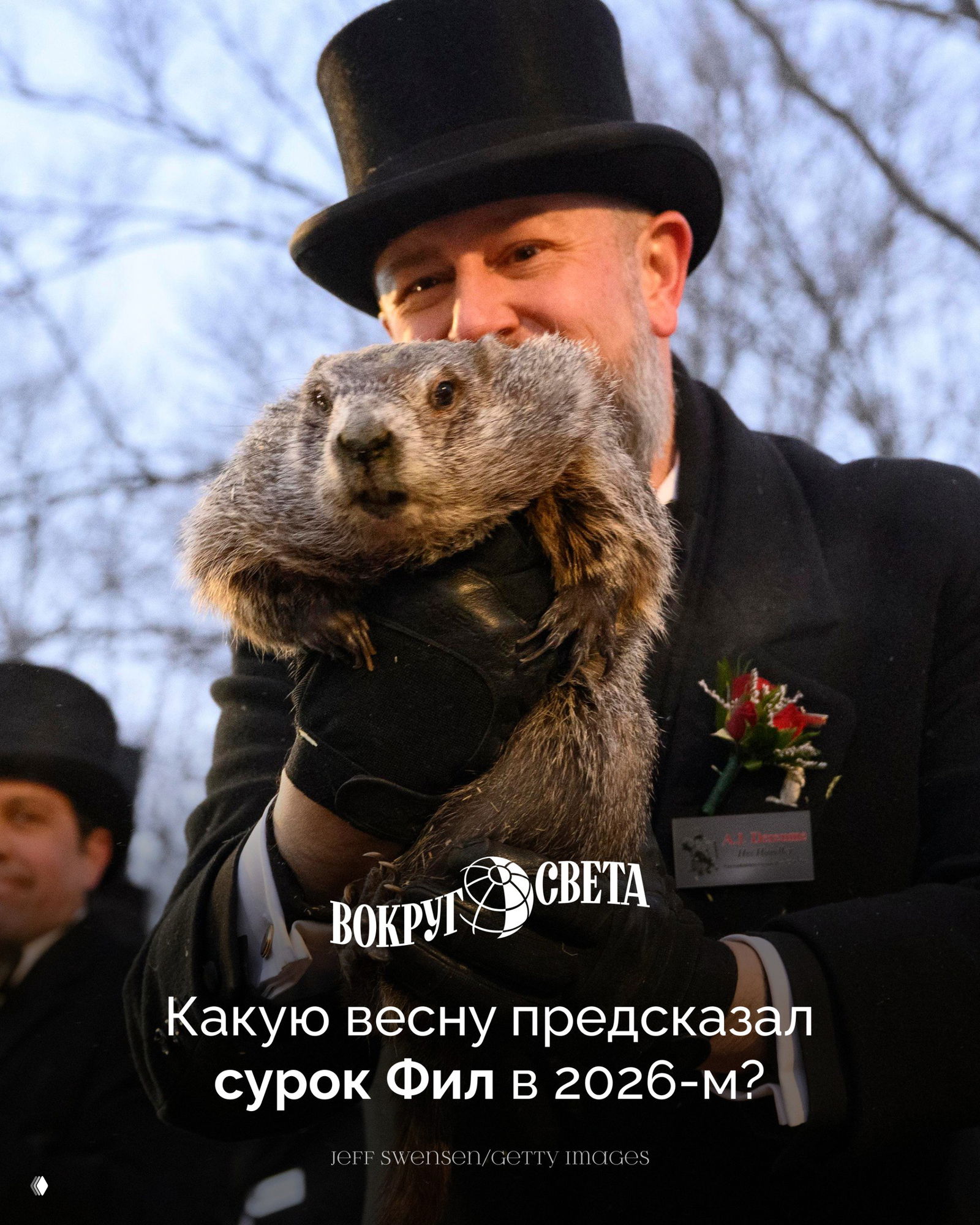 Прогноз сурка Фила: какую весну предсказали в 2026-м