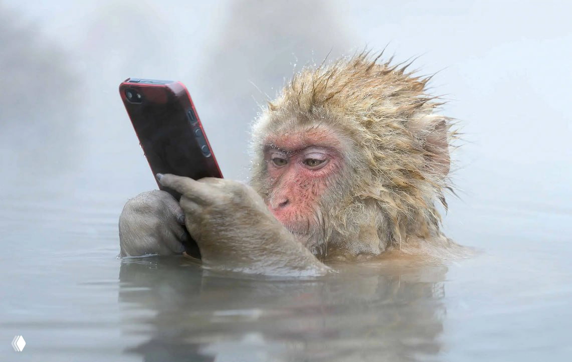 Финалист Wildlife Photographer of the Year 2014 — Marsel van Oosten