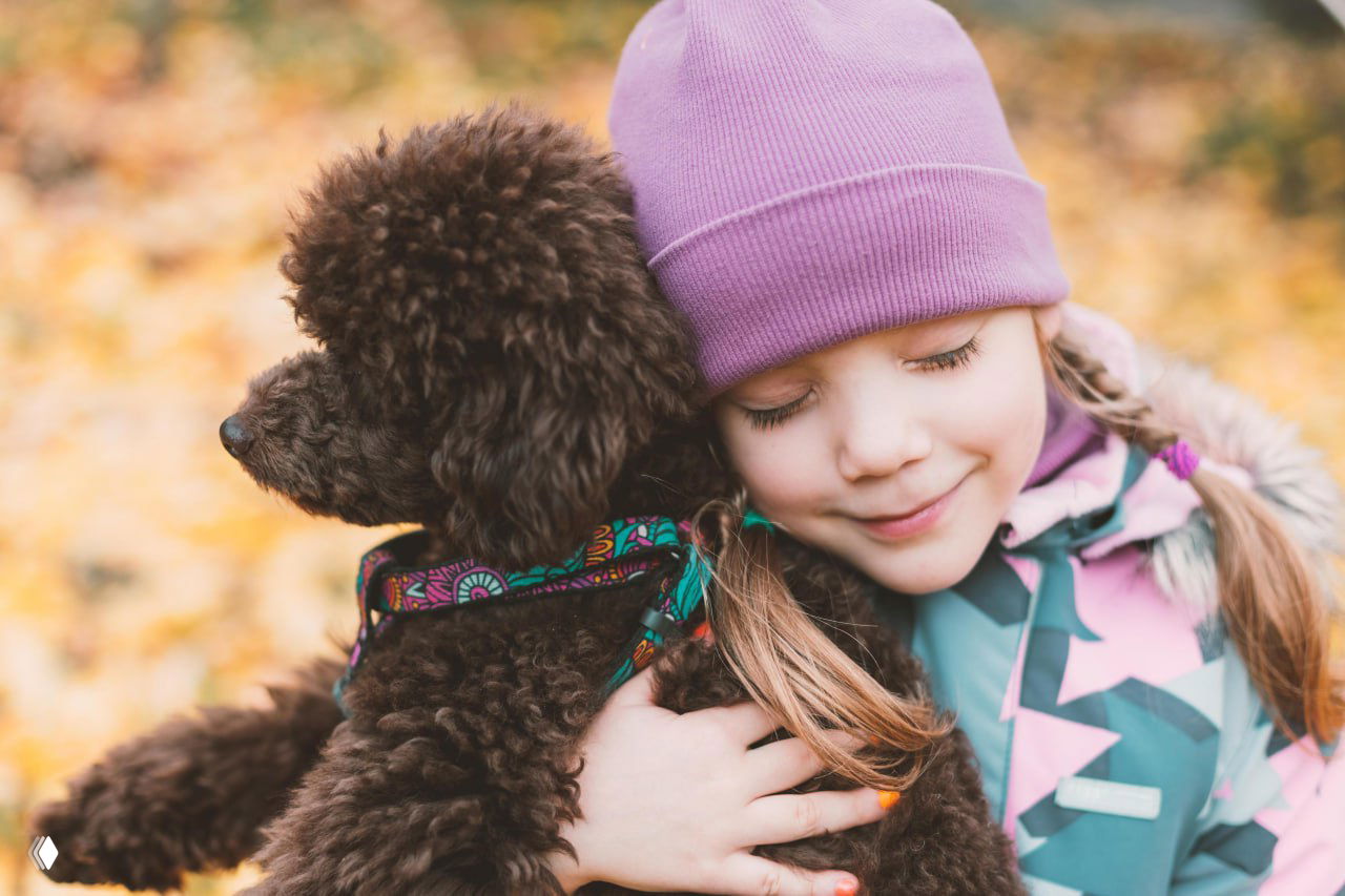 Собаки влияют на психическое здоровье подростков