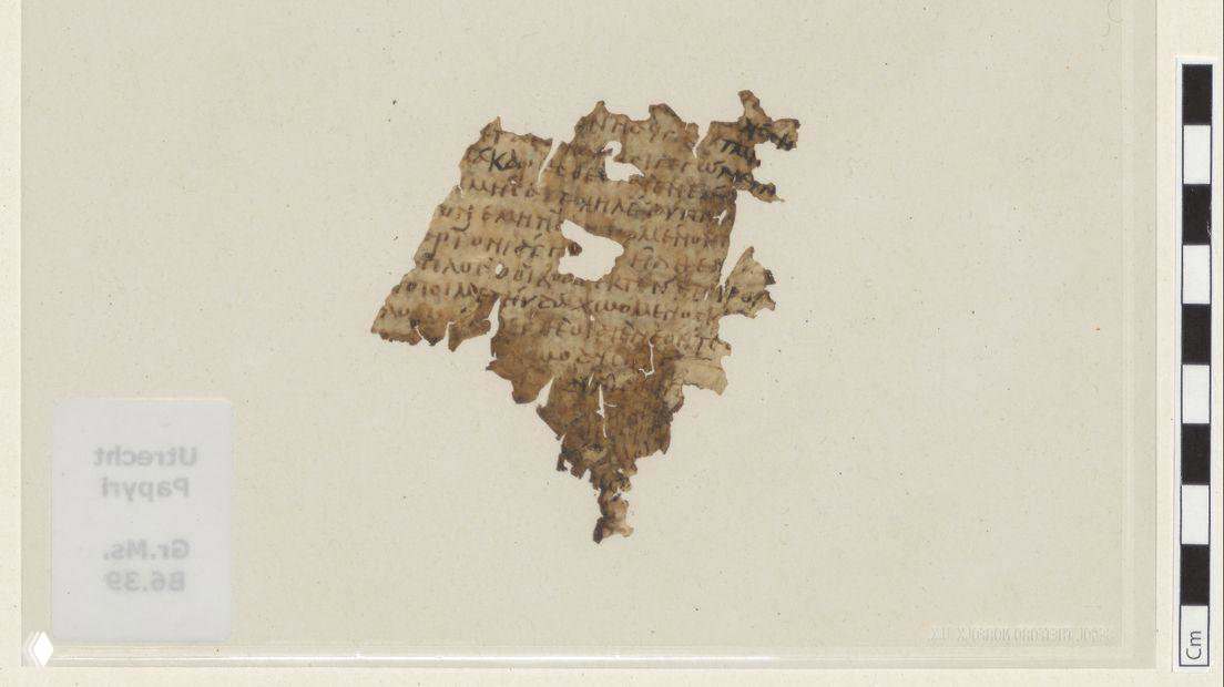 1700-летний фрагмент «Одиссеи» найден в библиотеке Утрехта