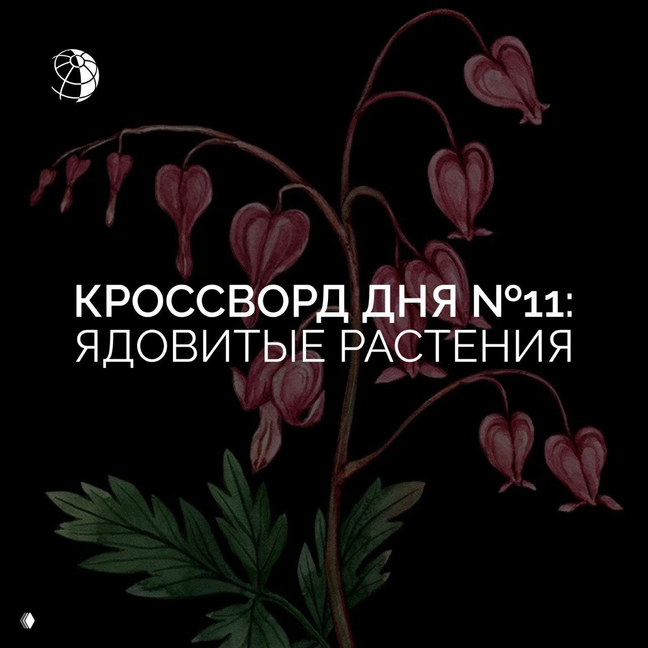 Кроссворд дня №11: ядовитые растения