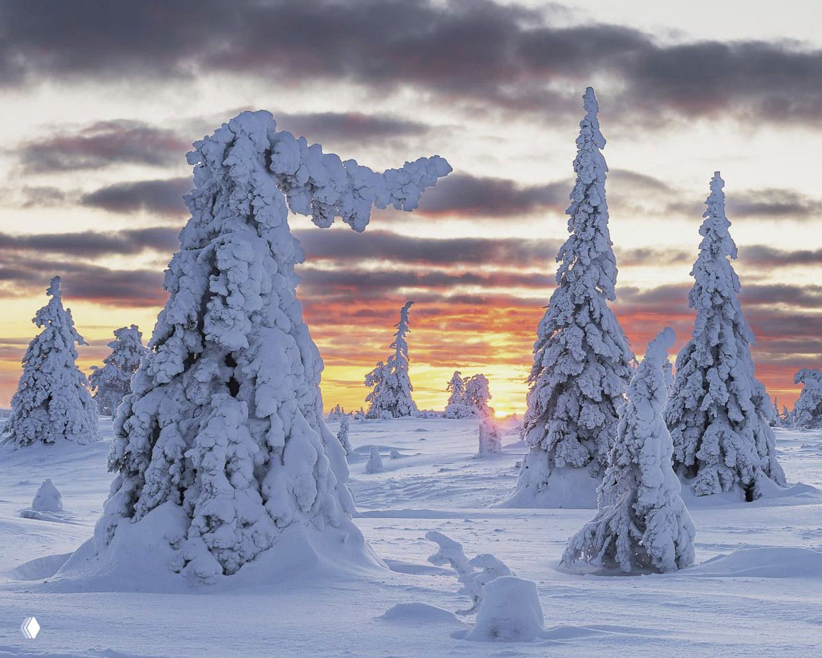 Национальный парк Рииситунтури (Финляндия)