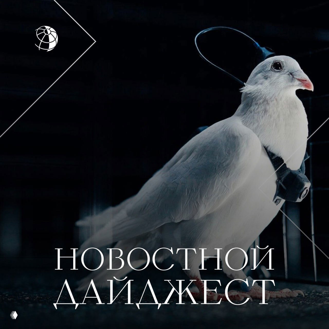 Дайджест самых интересных новостей