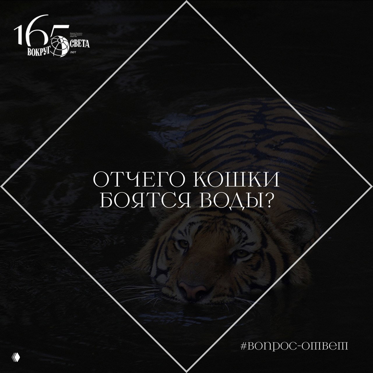 Отчего кошки боятся воды?