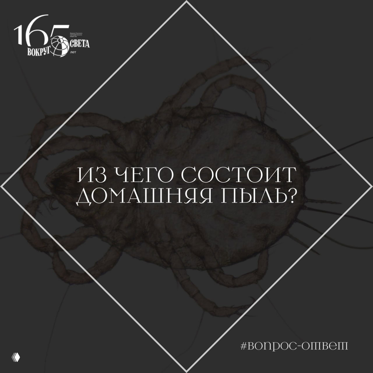 Из чего состоит домашняя пыль?