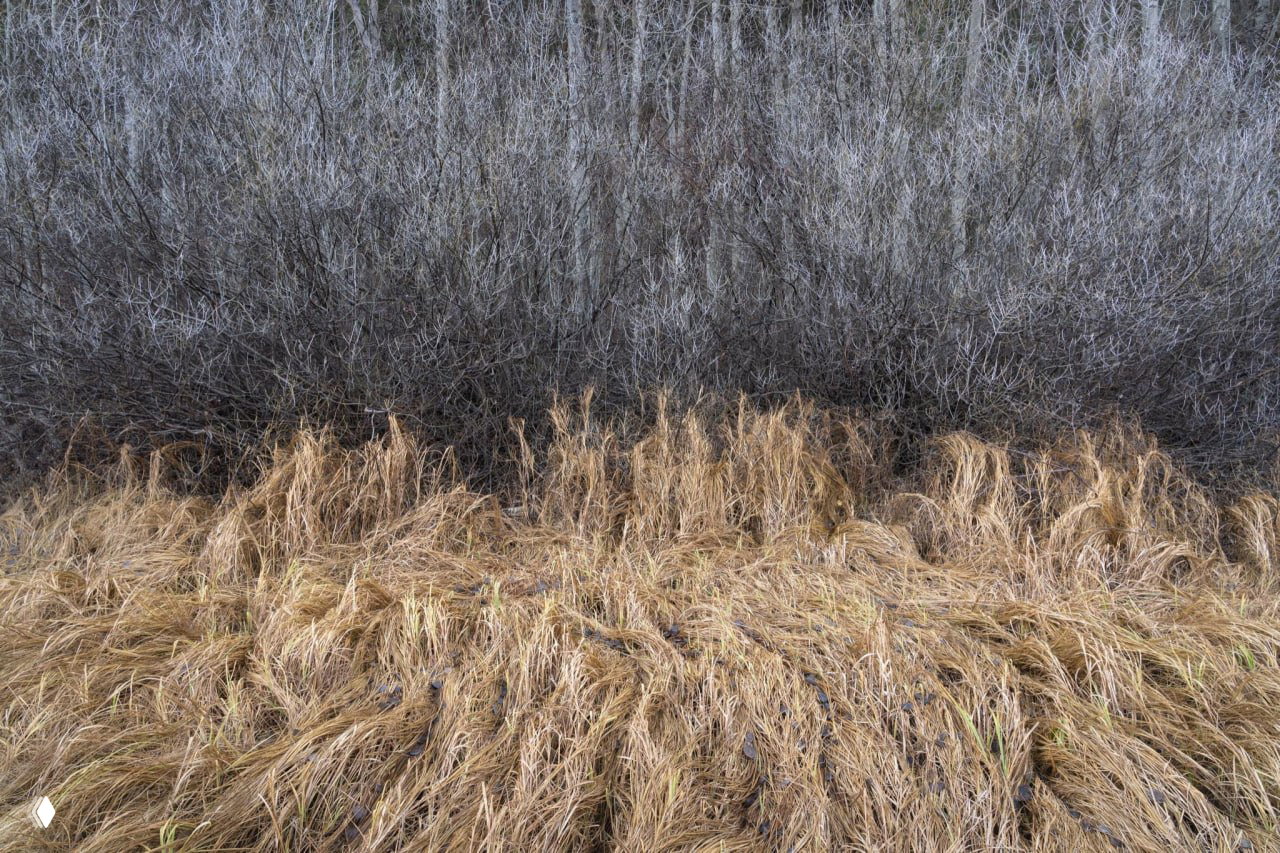 Победитель «Обычное место» — Natural Landscape Awards 2026