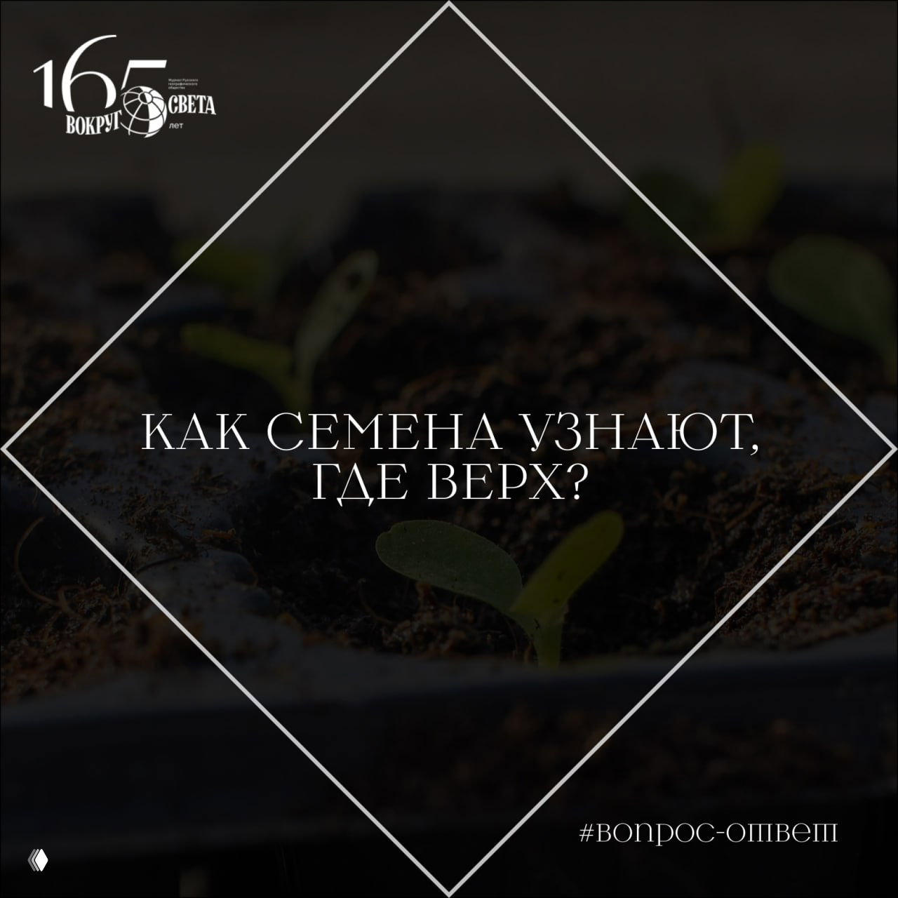 Как семена узнают, где верх и где низ?