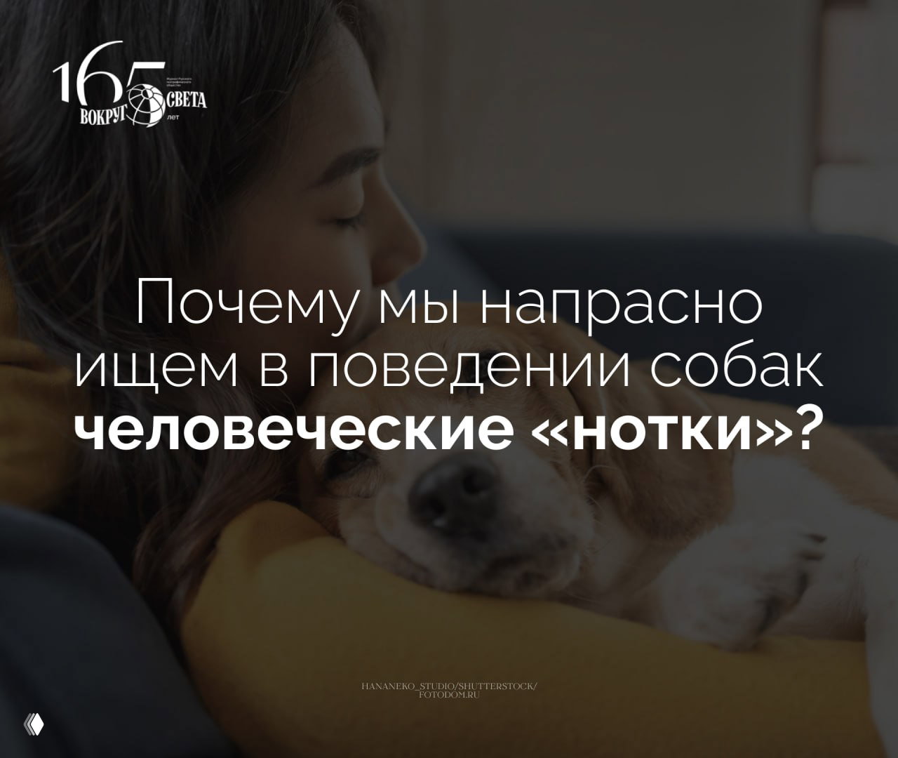 Почему мы напрасно приписываем собакам человеческие эмоции