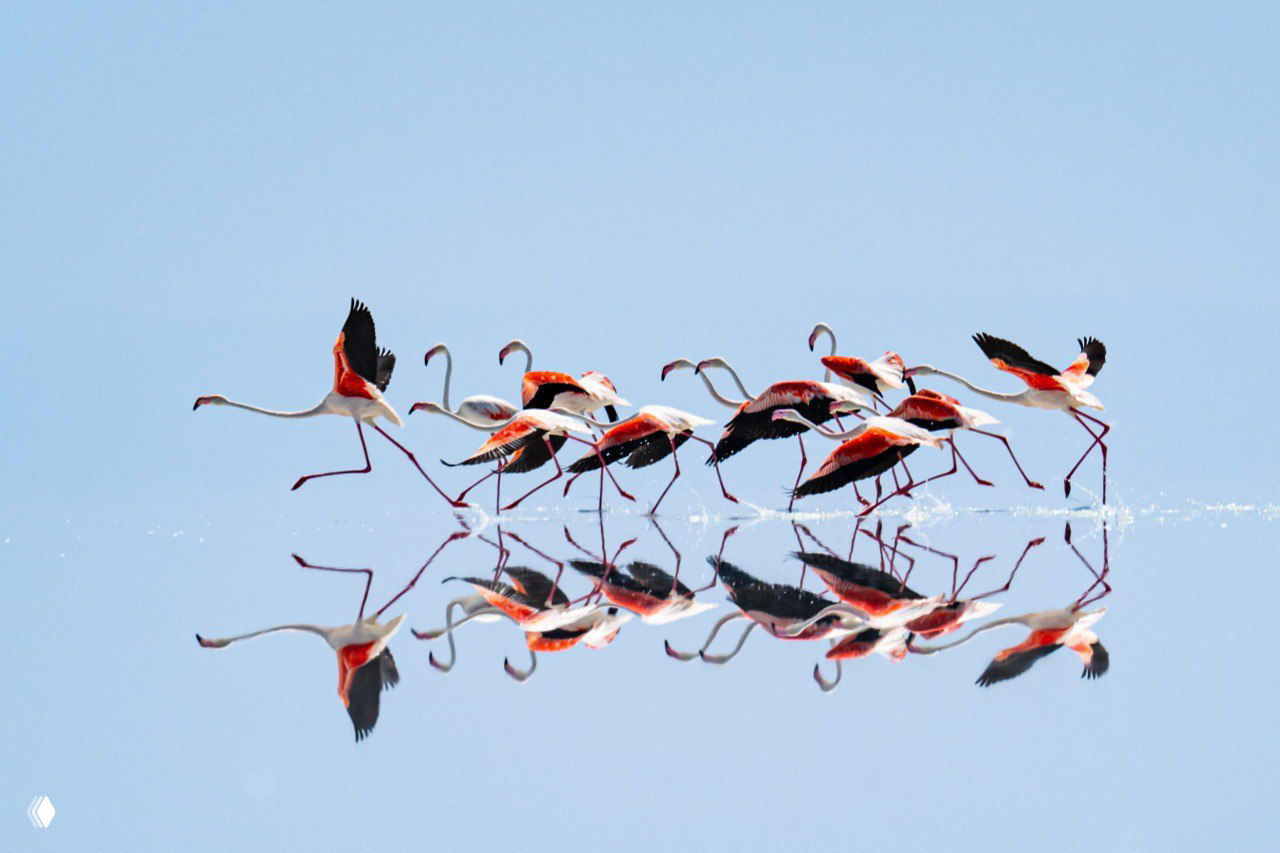 Озеро Туз, Турция — фото‑финалист ColorPro Awards 2025