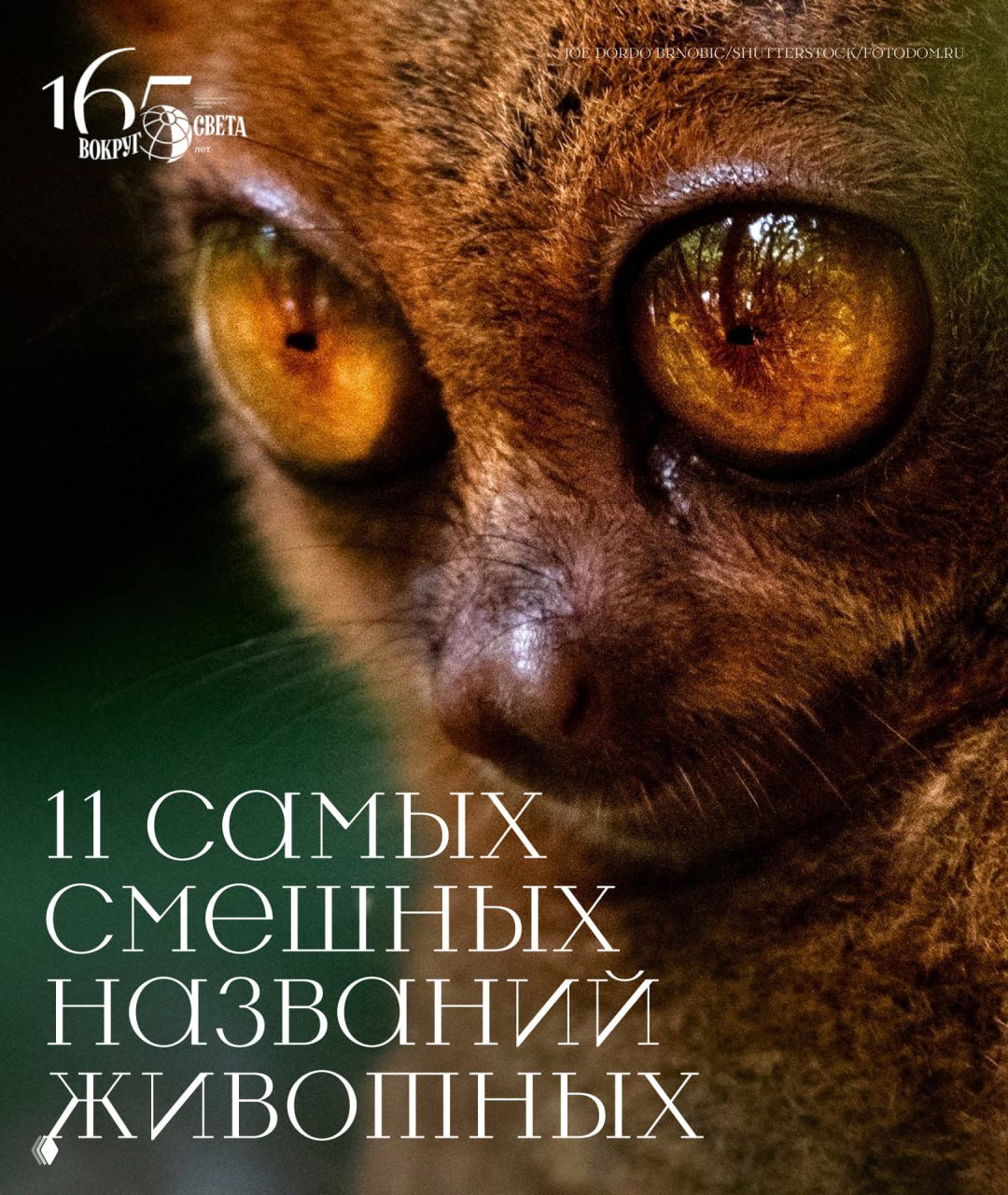11 самых смешных и нелепых названий животных