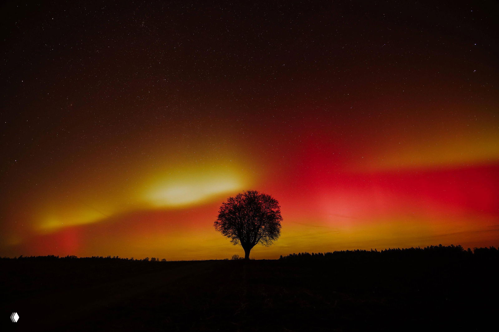Жёлто‑оранжево‑красное полярное сияние над ровной равниной; на переднем плане чёткий силуэт одиночного дерева и тёмная земля под ним.