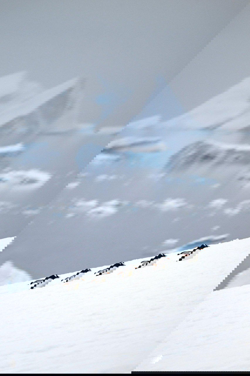 Фото‑финалист ColorPro Awards 2025 — Jordan Banks