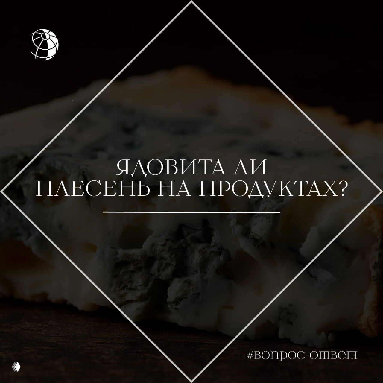 Ядовита ли плесень на продуктах?