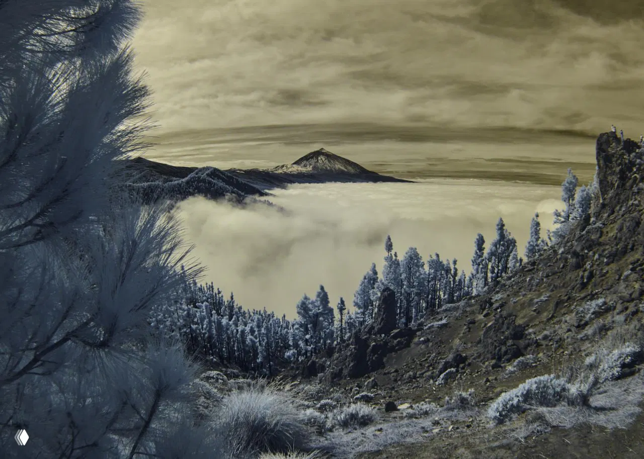 Остров Тенерифе, Испания.