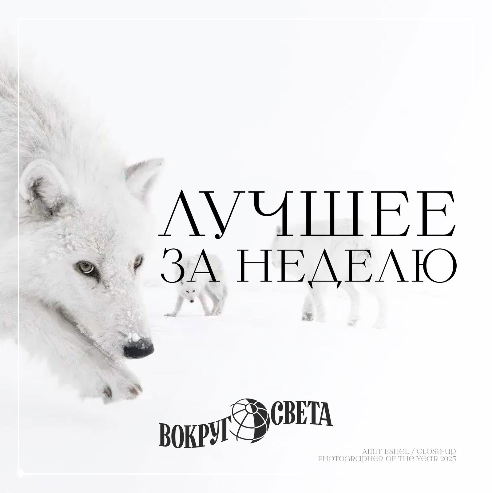 Традиционная подборка статей на выходные