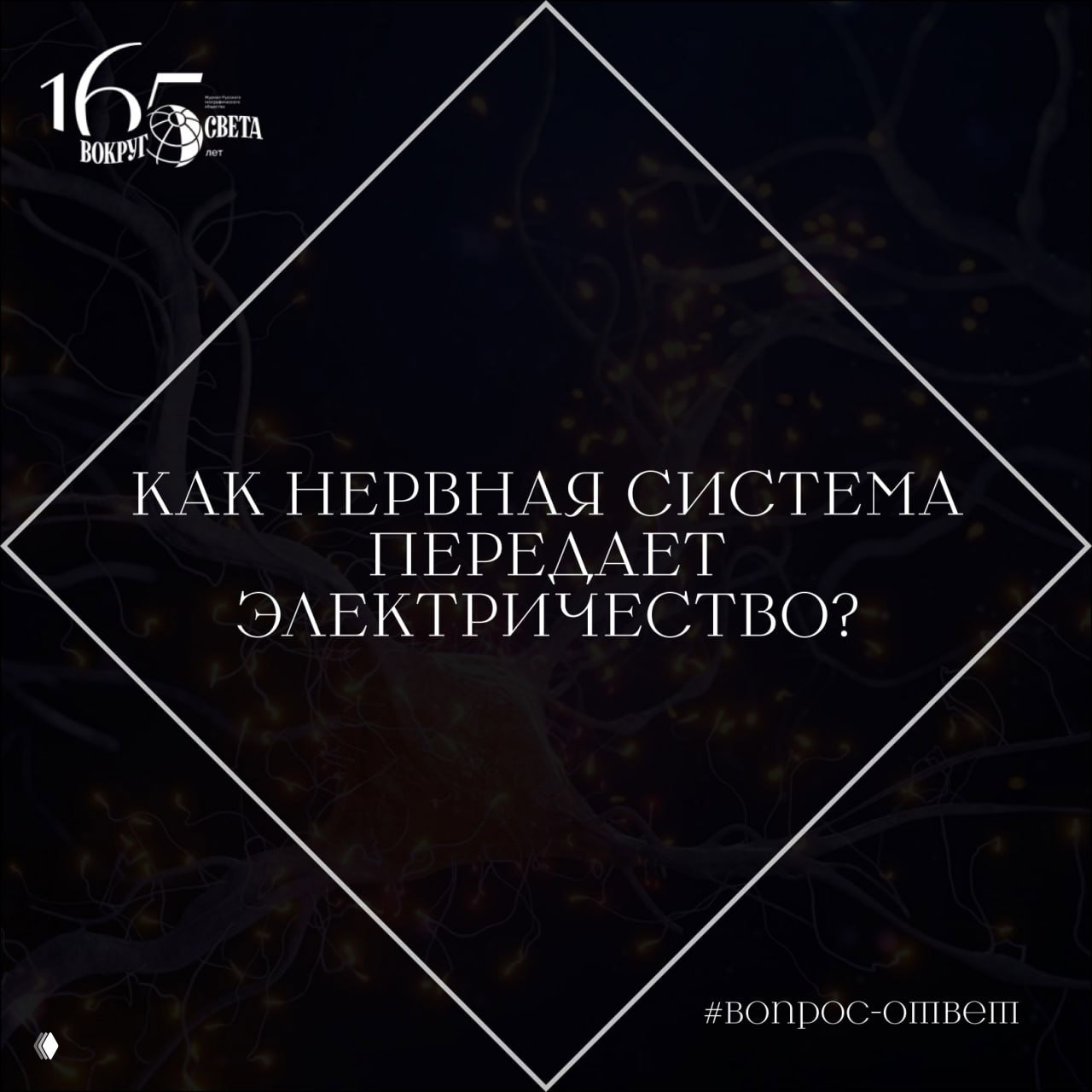 Как нервная система передает электричество?