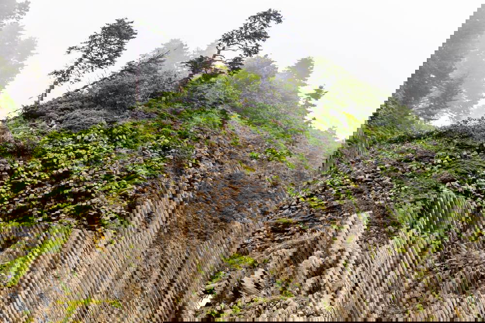 Столбчатые базальтовые образования на утёсе Кунаширa: вертикальные колонны лавового происхождения, покрытые растительностью и редкими деревьями.