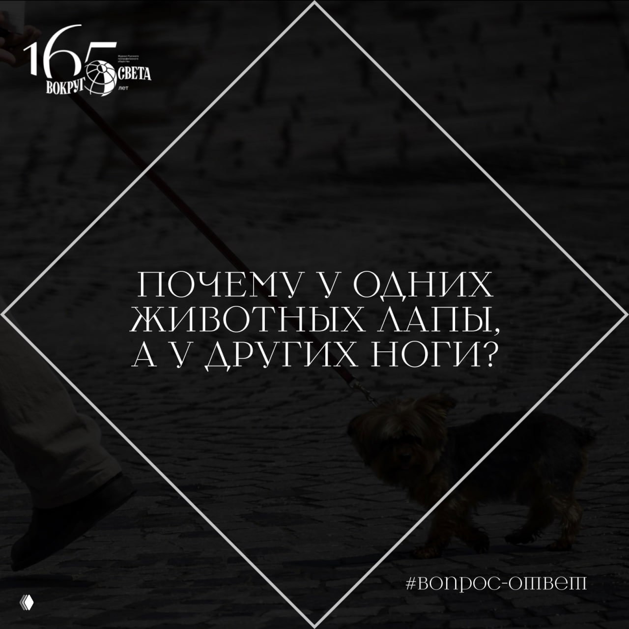 Почему у одних животных лапы, а у других ноги?