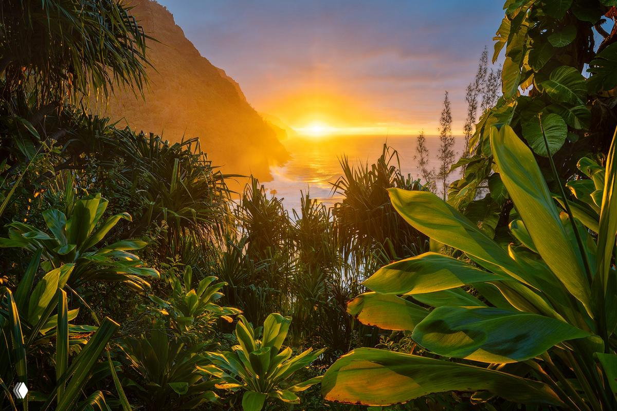 Зелёная тропическая чаща и низкий берег на закате: тёплый свет солнца сквозь листва и отражение в морской глади.