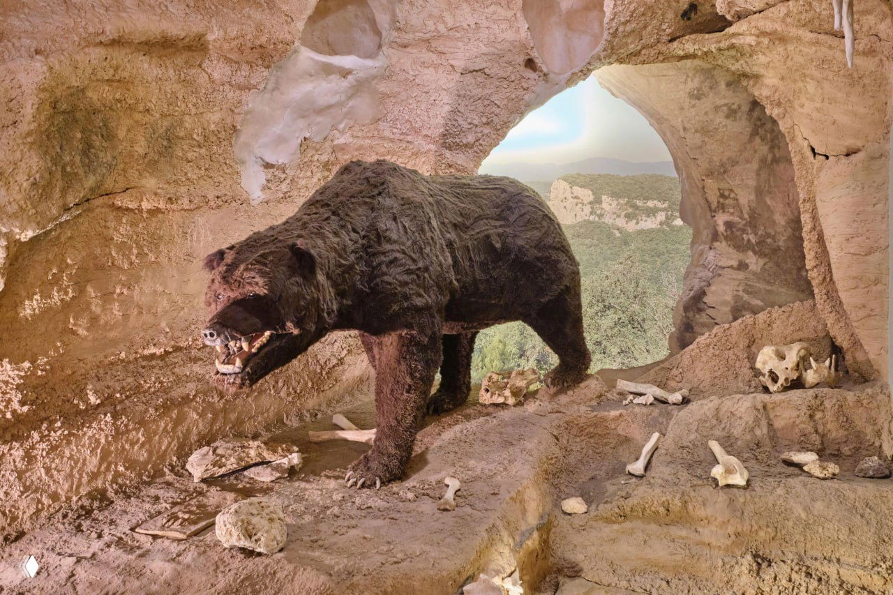 В России нашли гигантского медведя весом 700 кг