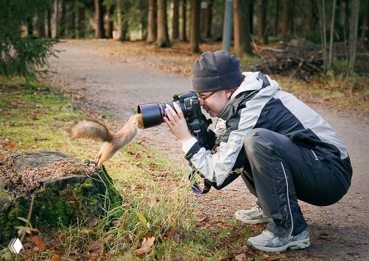 Фотограф, присевший на корточки, снимает наземного зверька в лесной среде — репортажный кадр процесса съёмки дикой природы.