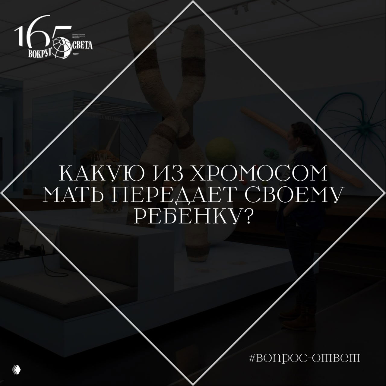 Какую X‑хромосому передаёт мать?