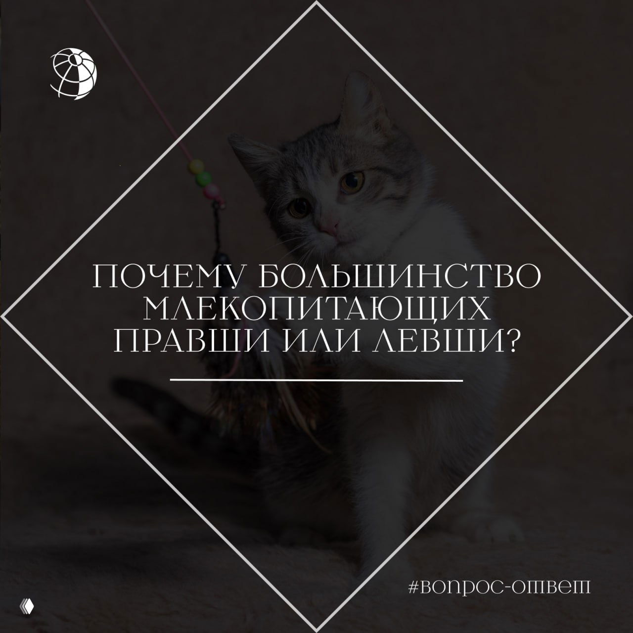 Почему большинство млекопитающих правши или левши?