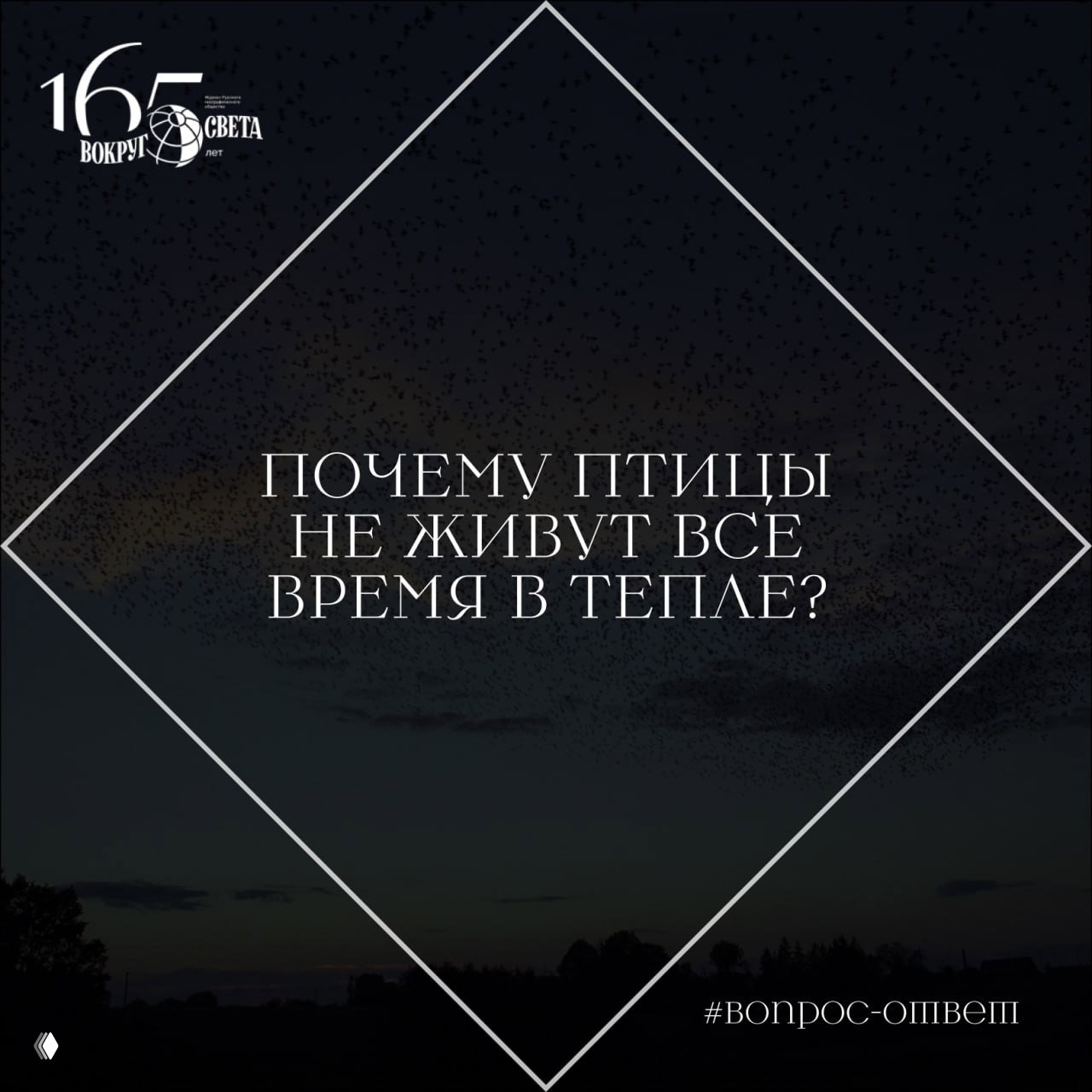 Почему птицы не живут все время в тепле?