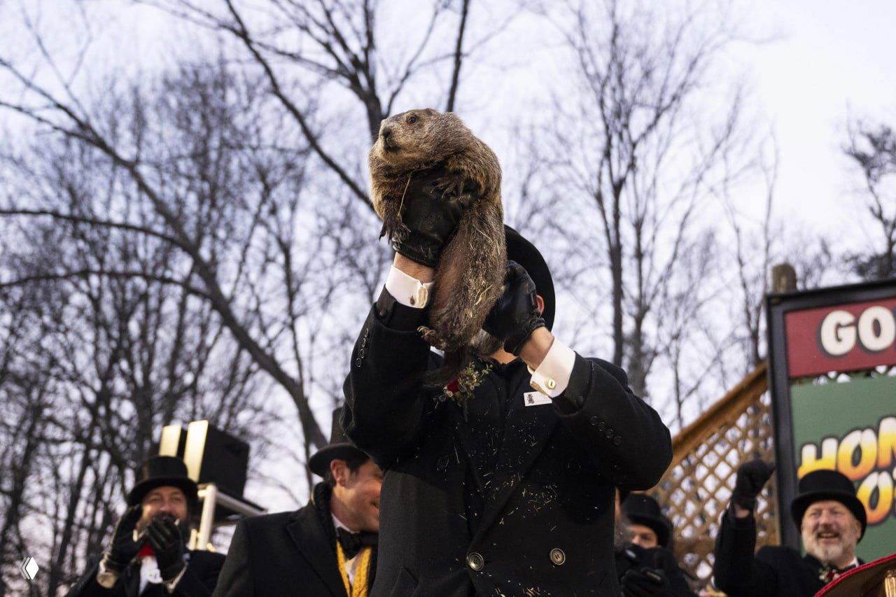 День сурка шумно отмечается каждый год 2 февраля