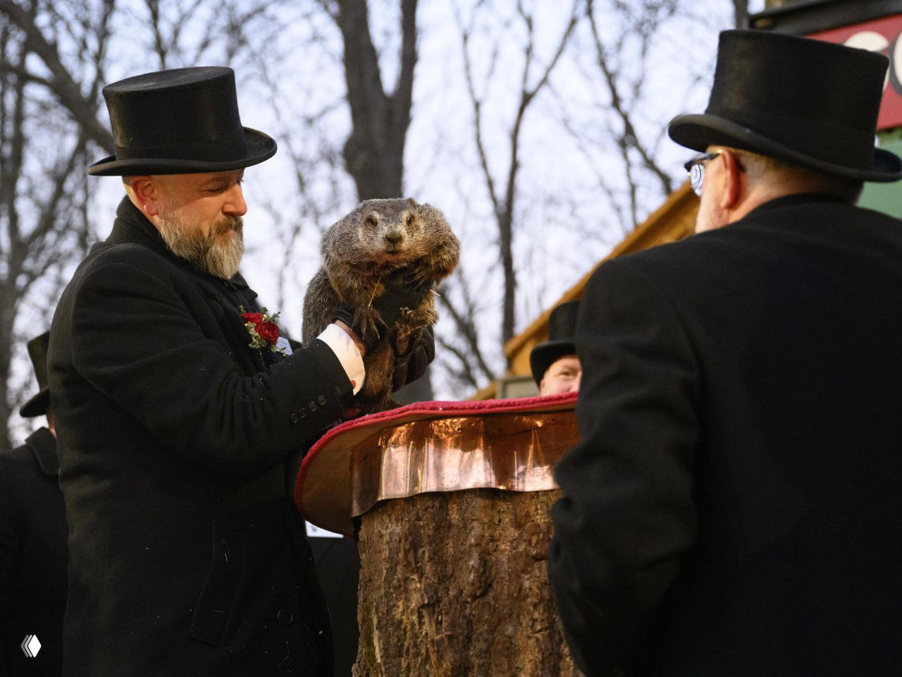 Сурок стоит на пне, рядом мужчина в цилиндре и пальто держит животное во время церемонии прогноза погоды на ежегодном празднике.