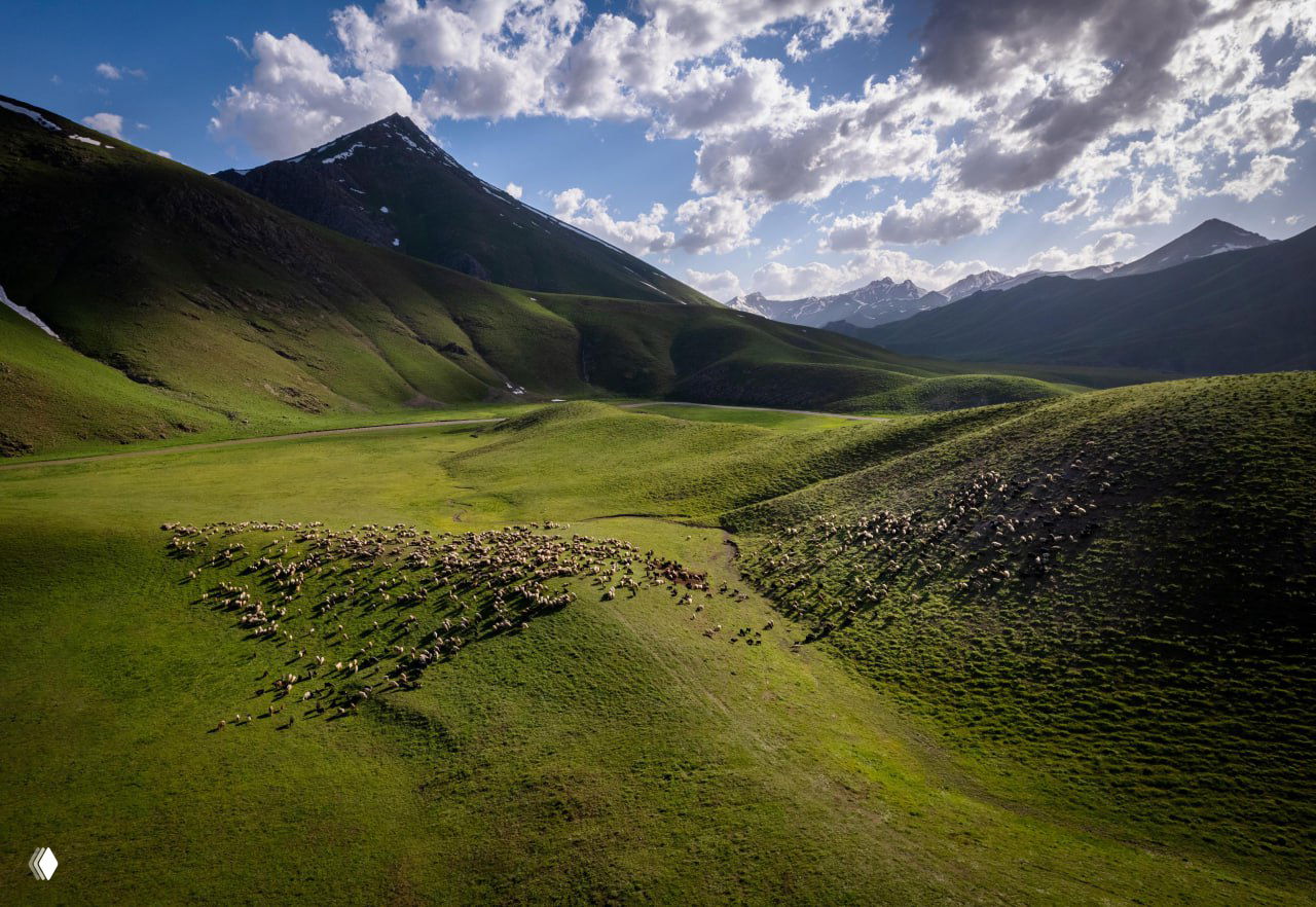 Турция, ил Ширнак: пастухи на плато Фарасин