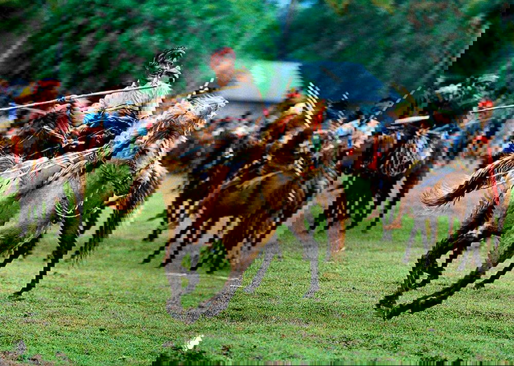 Пасола на Сумбе: конные ритуалы ради богов