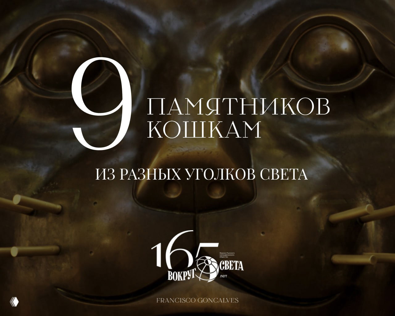 Пушистые хозяева улиц: 9 памятников кошкам со всего света