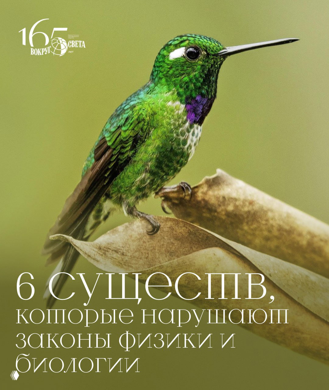 6 существ, которые нарушают законы физики и биологии